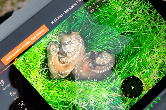 rueckblick-2025-09.jpg