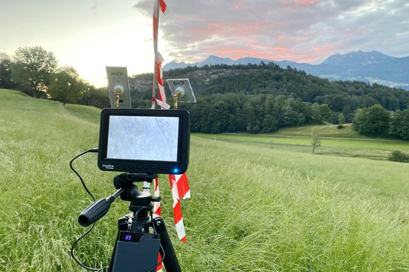 rueckblick-2020.jpg